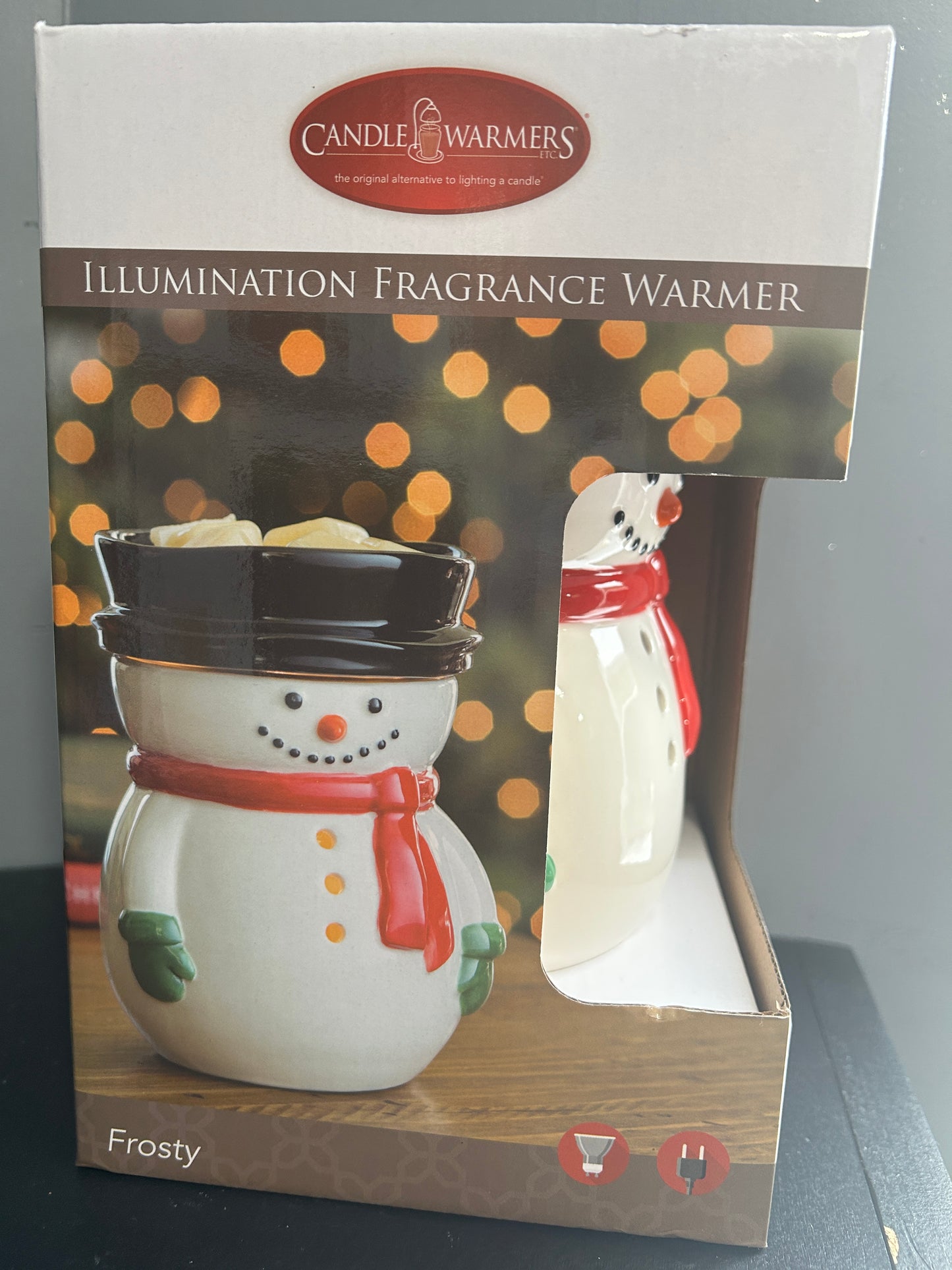 Electric Wax Warmers