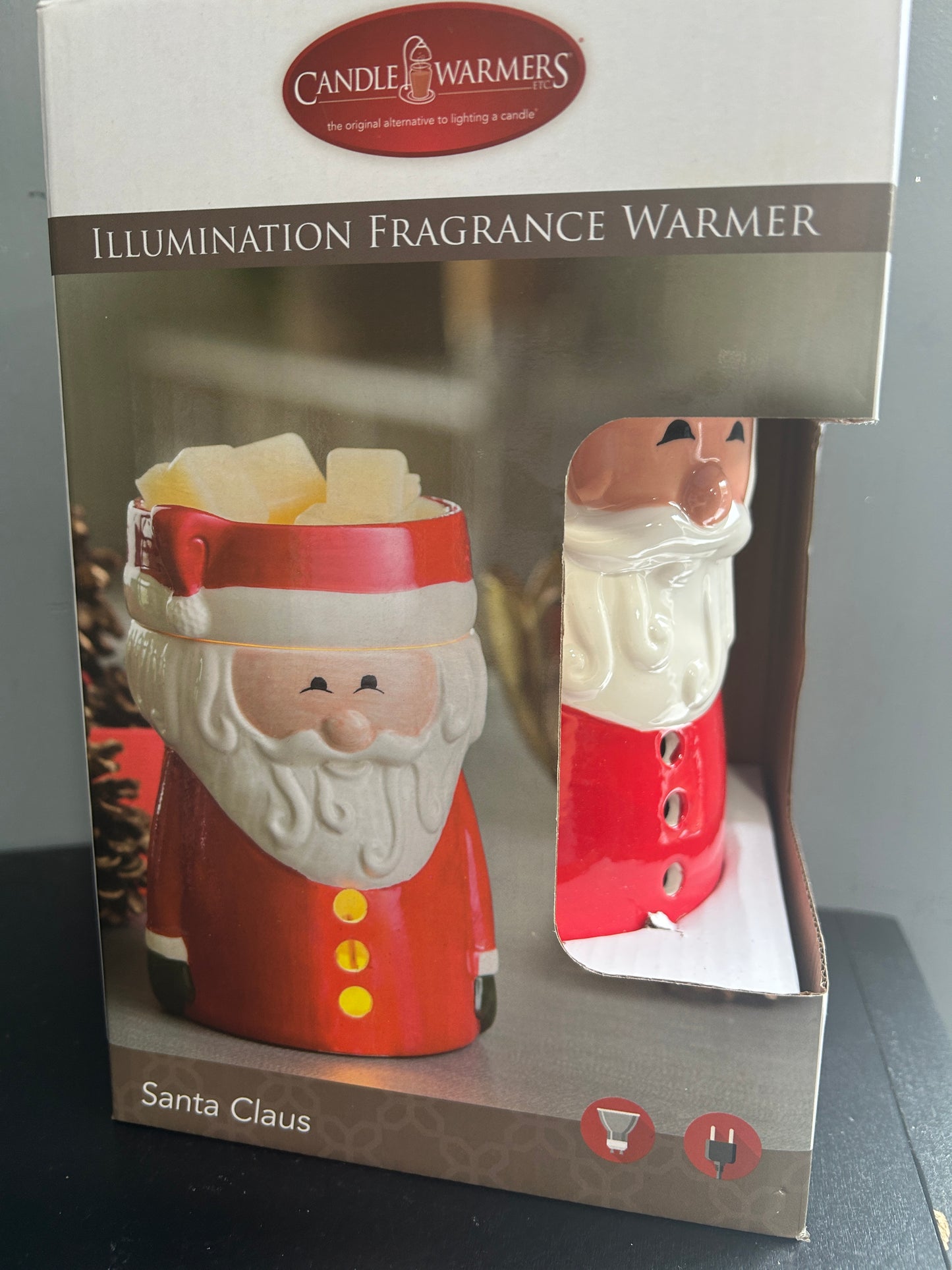 Electric Wax Warmers