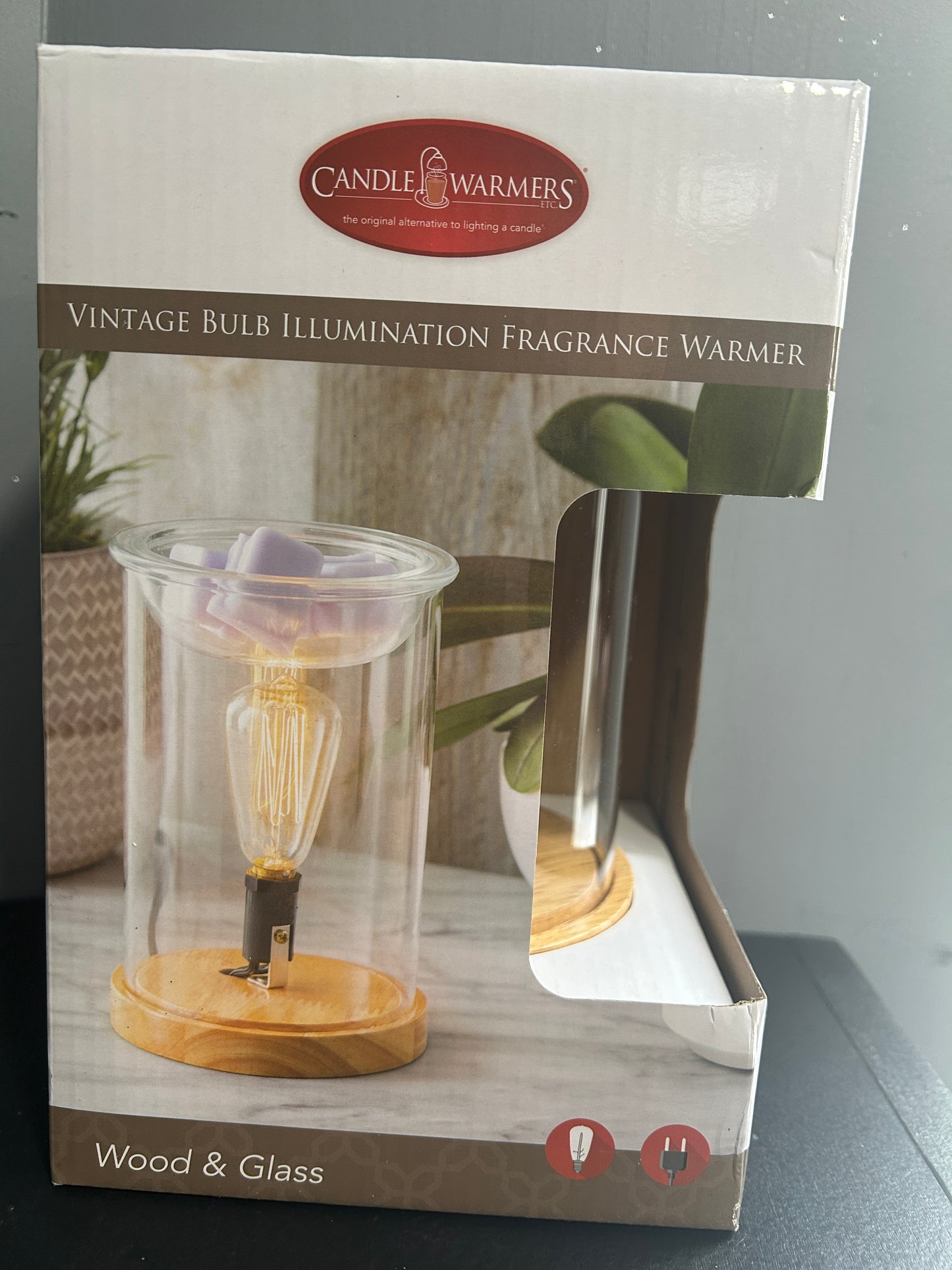 Electric Wax Warmers